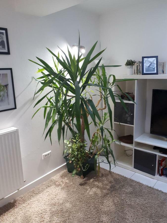 Le Souplex Apartment *